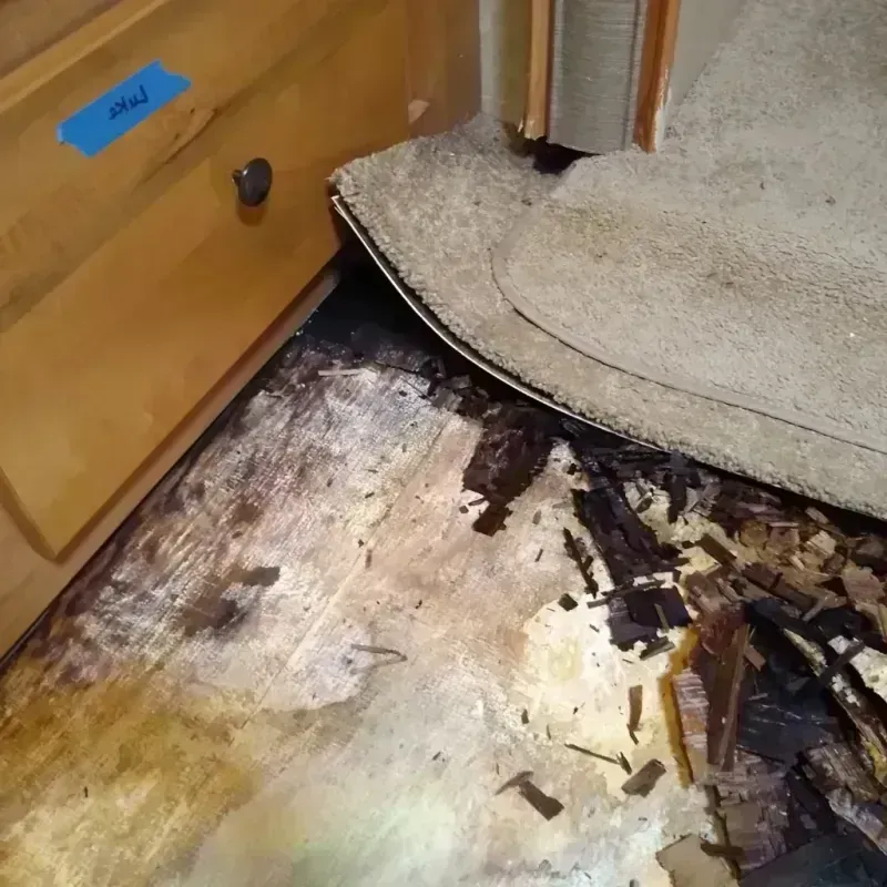 Wood Floor Water Damage in Boulder Hill, IL